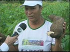 Chuva em boa quantidade garante a safra da mandioca na Bahia