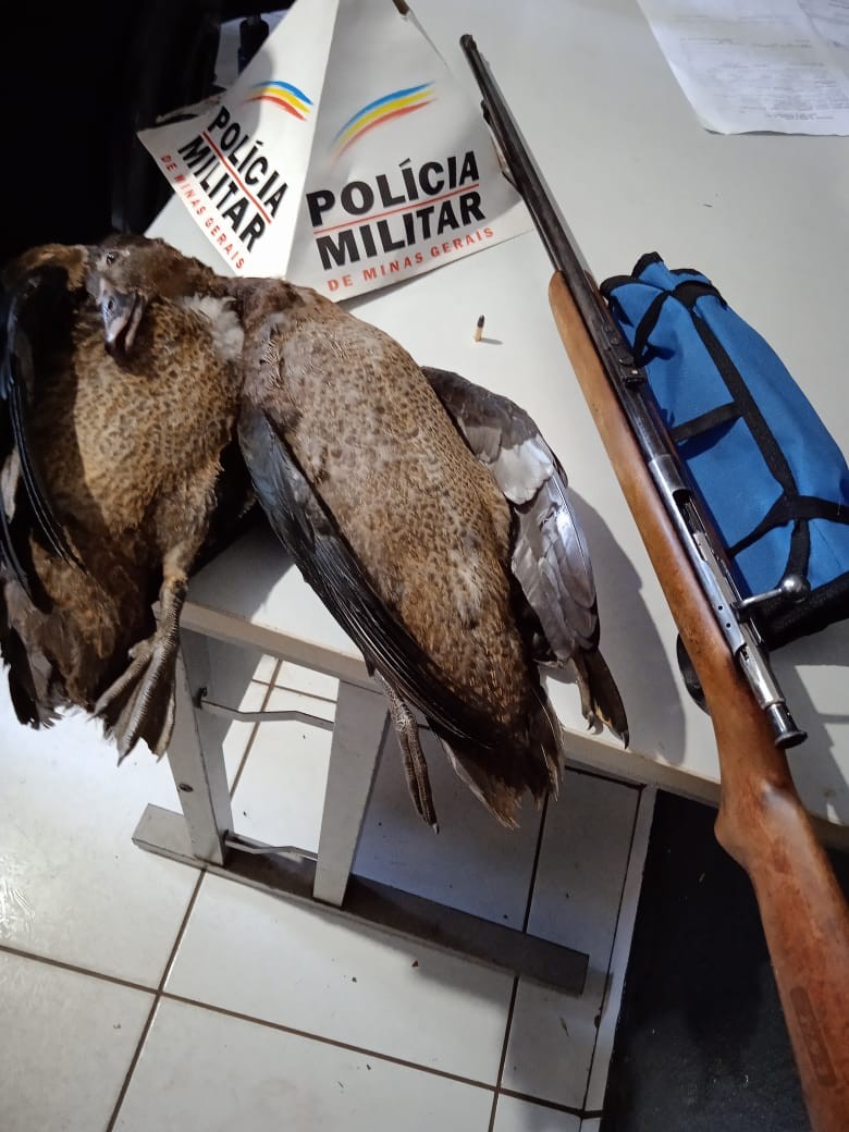 Suspeitos de caça ilegal são presos com patos selvagens mortos em distrito de Patos de Minas
