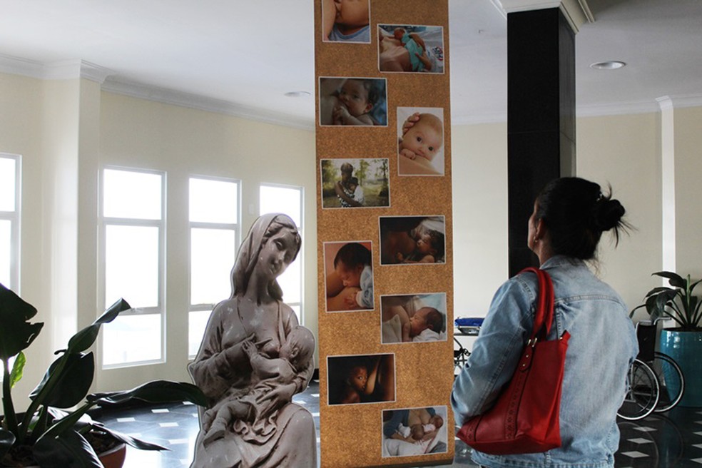 Exposição foi organizada no Hospital Regional (Foto: HR Prudente/Divulgação)