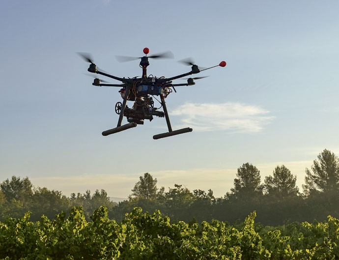 ALTO CONTROLE: Drone sobrevoa vinhedo na Françapara reunir informações precisas sobre as vinhas (Foto: André Moscatelli)