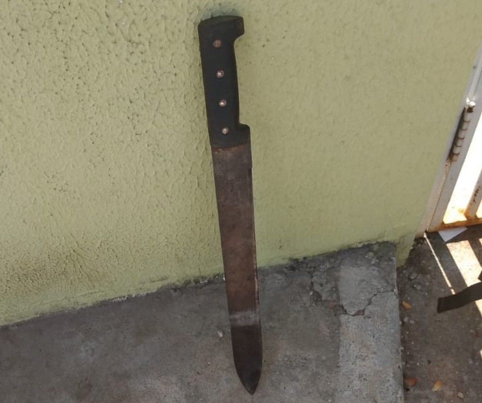 Mãe golpeou os filhos com um facão. — Foto: Divulgação/ Polícia Militar 