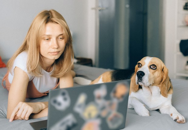 Cachorro, trabalho, home office (Foto: Reprodução/ Pexels)
