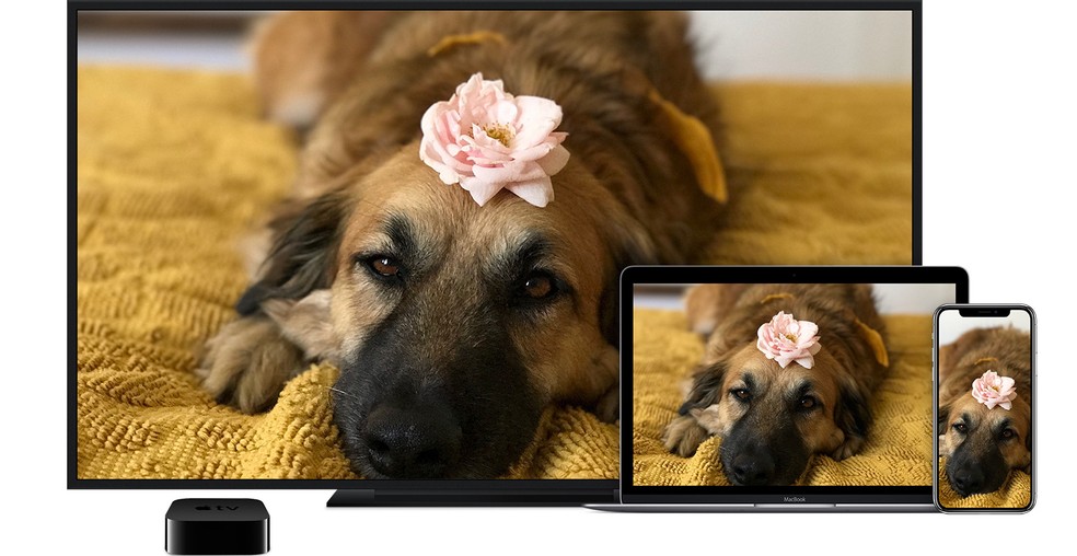 Apple