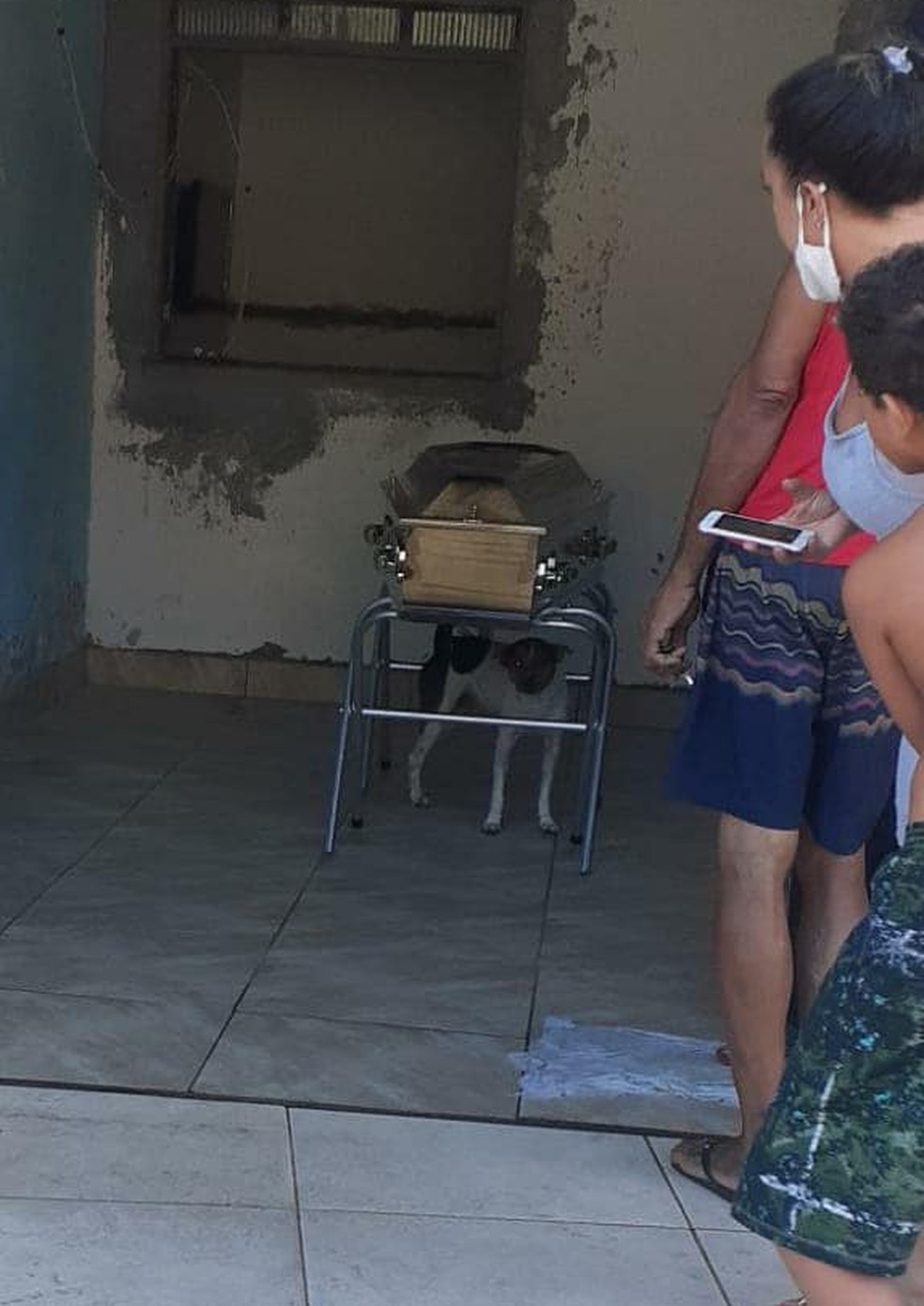 Cachorro chora e acompanha velório da tutora ao lado do caixão na Bahia — Foto: Jailson Santos
