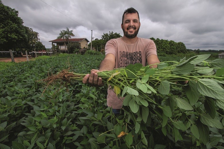 PRODUTIVIDADE: Luan Candido Silva mostra plantas de soja da lavoura, que deve produzir 80 sacas por hectare nesta safra (Foto: Rogerio Albuquerque)