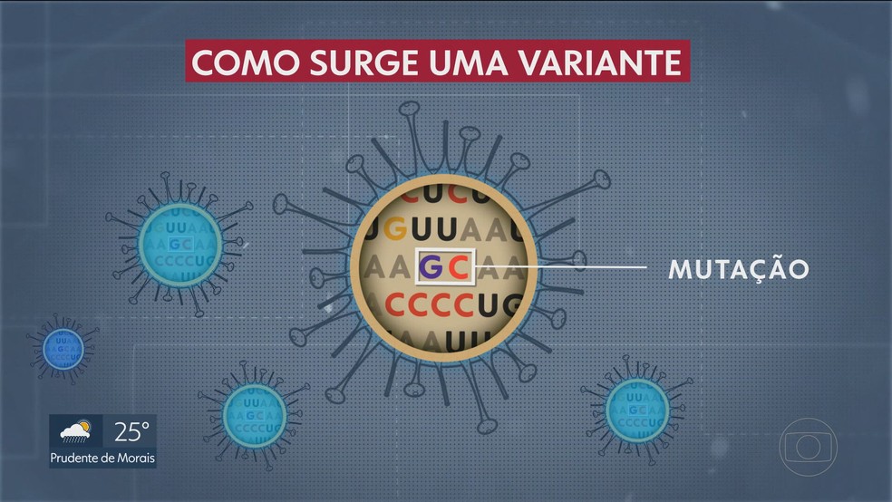 Veja como surge uma nova variante do coronavírus — Foto: Reprodução/TV Globo
