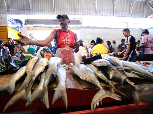 G1 - No PA, feiras do pescado irão garantir abastecimento na Semana Santa -  notícias em Pará