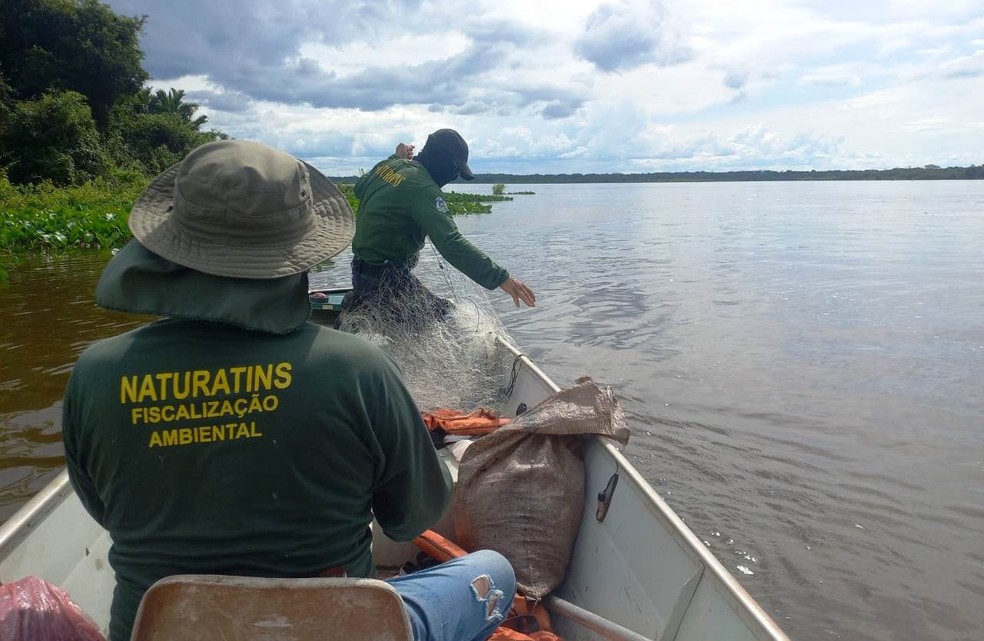 Fiscais do Naturatins recolhendo redes em lago — Foto: Naturatins/Divulgação