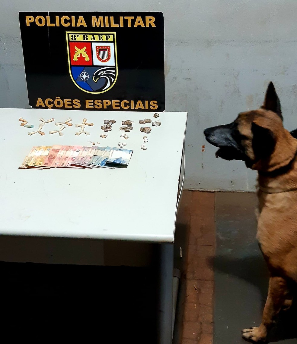 Com ajuda da cadela Belca do canil, os policiais encontraram uma sacola plástica com drogas em Assis — Foto: Polícia Militar/Divulgação