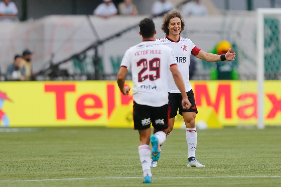 David Luiz comemora com Victor Hugo o gol do Flamengo contra o Palmeiras &mdash; Foto: Gilvan de Souza/Flamengo