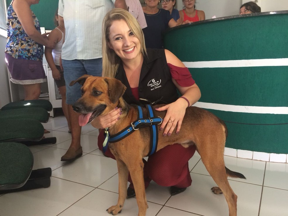 Letícia de Fátima Nawas Bortolucci com o Campeão na clínica veterinária (Foto: Marcos Lavezo/G1)