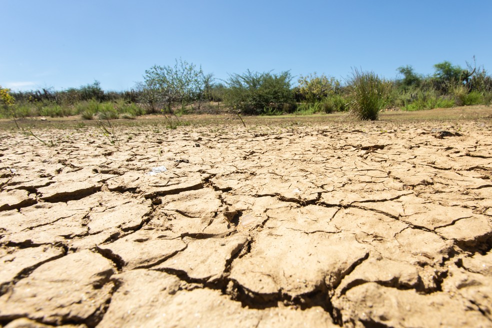 O solo argiloso, típico do semiárido brasileiro, racha quando seca. — Foto: Celso Tavares/G1