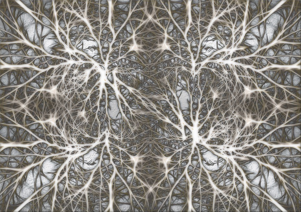 Modelo de uma rede de neurônios (Foto: Pixabay)
