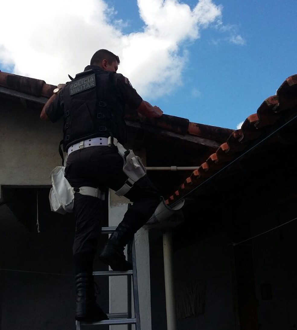 As muniÃ§Ãµes foram encontradas em sacos plÃ¡sticos dentro de uma calha na casa (Foto: DivulgaÃ§Ã£o/PolÃ­cia Militar)