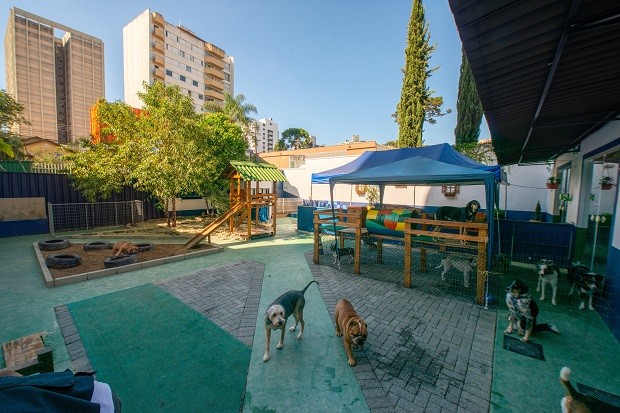 A pet living area at EcoCão (Photo: Disclosure)