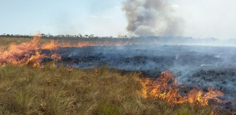 Fogo na Chapada dos Veadeiros, em Goiás — Foto: Grupo Ambientalista do Torto
