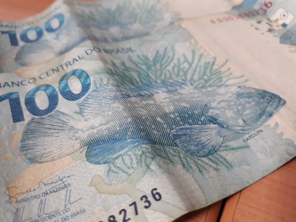 Garoupa-verdadeira estampa nota de cem reais — Foto: Giulia Bucheroni/TG