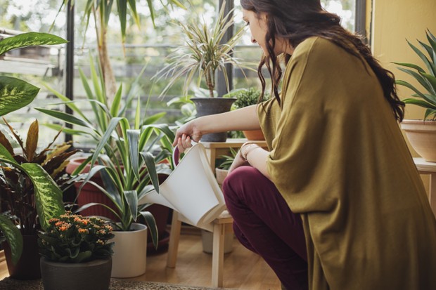 11 ideias para montar seu Jardim em casa - Entenda Antes!