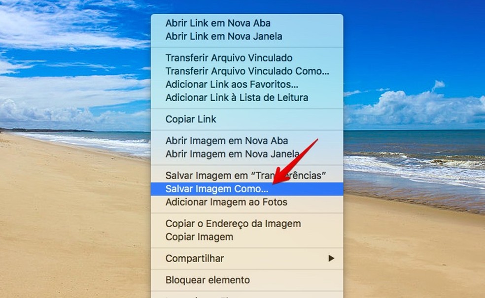 Como pesquisar imagens livre de direitos autorais no Google | Lançadores e  buscadores | TechTudo