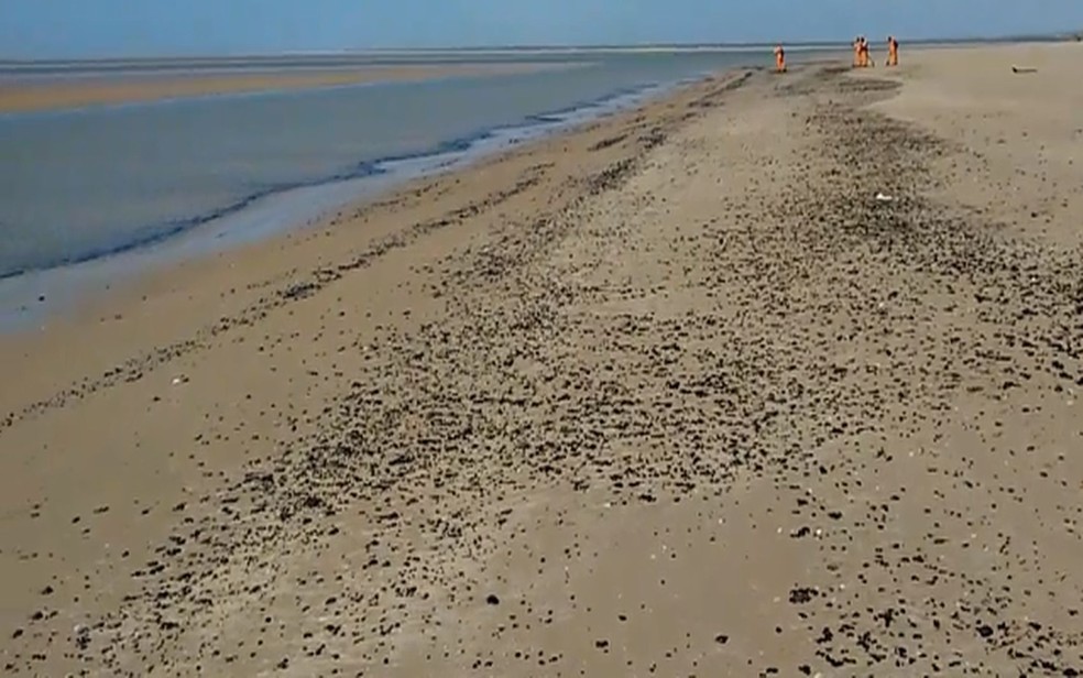 Praia do Mosqueiro com novas manchas neste domingo (13) — Foto: Reprodução/Adema