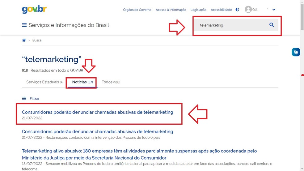 Onde encontrar o formulário de denúncina no site do Governo — Foto: Reprodução/Katarina Bandeira