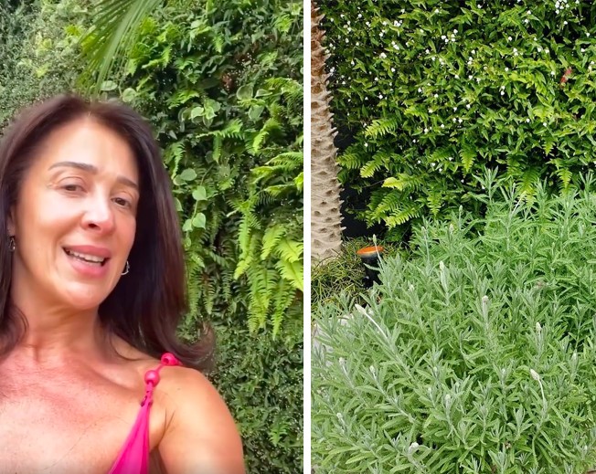 O véu-de-noiva no jardim vertical e a lavanda são duas das espécies favoritas da atriz Claudia Raia em seu jardim (Foto: Reprodução / Instagram)