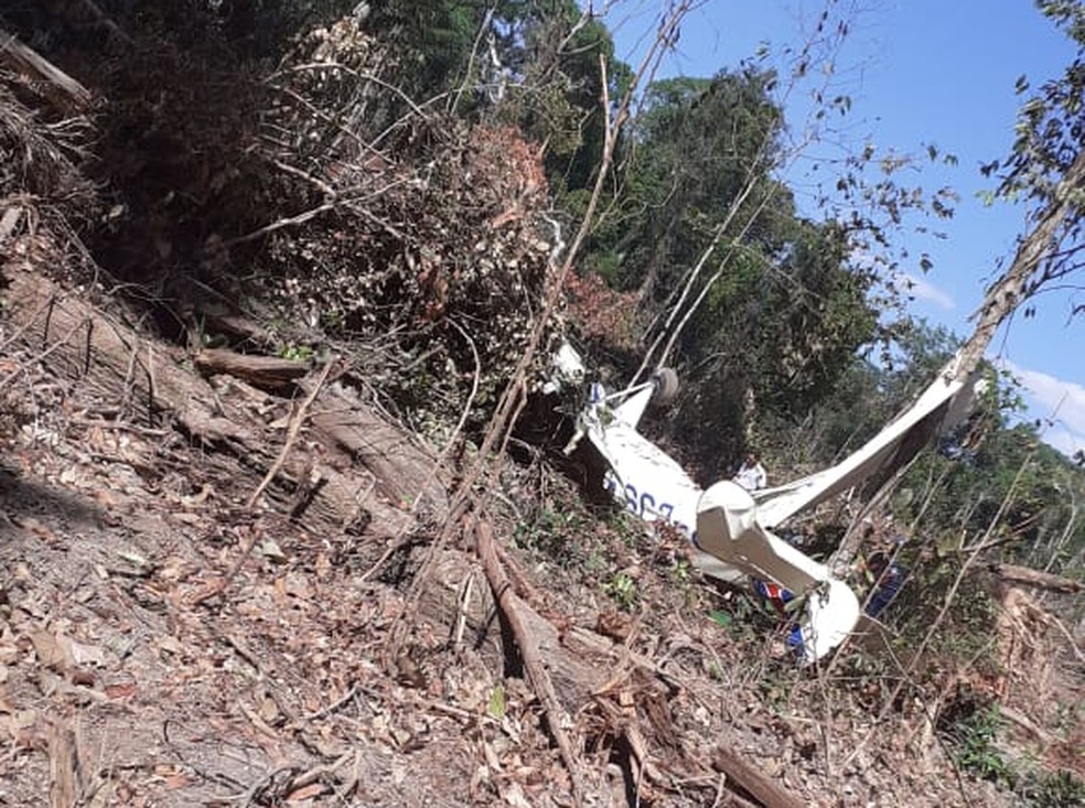 Avião caiu em área de mata — Foto: Divulgação