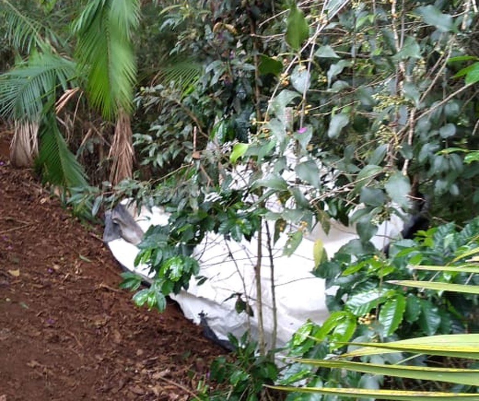 Corpo foi encontrado em Dores do Rio Preto — Foto: VC no ESTV