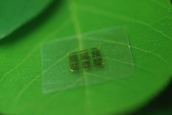 Tecnologia permite criar chips que se decompõem no ambiente (Foto: Reprodução/Nature)