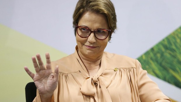 A ministra da Agricultura, Tereza Cristina (Foto: Marcelo Camargo/Agência Brasil )