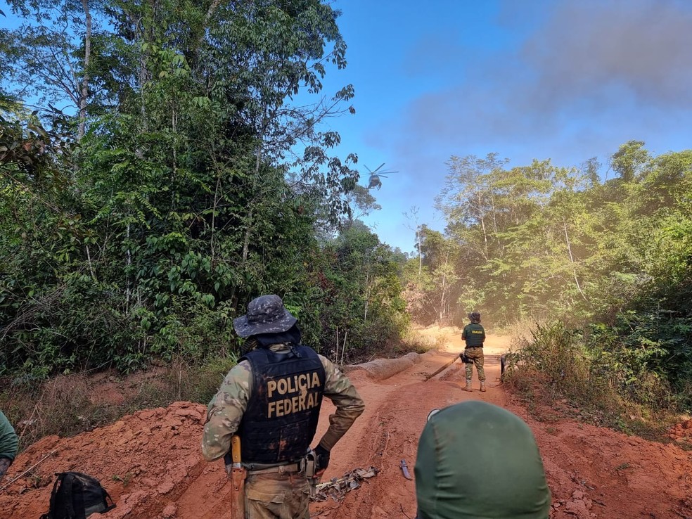 Conforme as investigações, estima-se que 10 caminhões saiam da terra indígena com madeira ilegal todos os dias — Foto: Polícia Federal