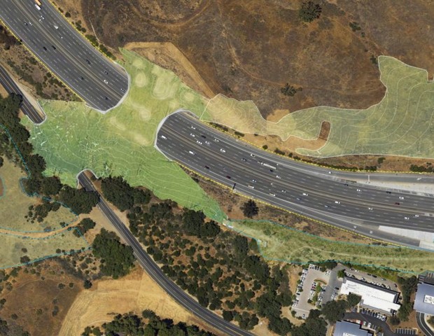 Califórnia terá maior ponte de travessia de vida selvagem do mundo (Foto: Resource Conservation District of the Santa Monica Mountains (RCDSMM))