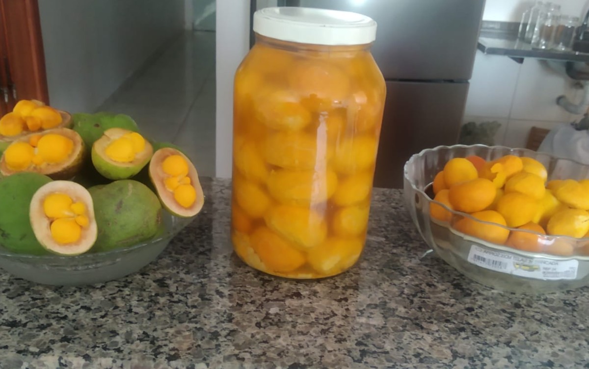 Aprenda a fazer conserva de pequi