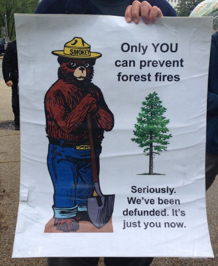 Só vocês podem prevenir os incêndios florestais. Sério. Fomos extintos. Só tem vocês agora. (Foto: Reprodução)