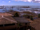 Agricultores e pecuaristas sofrem os prejuízos causados pela chuva no ES