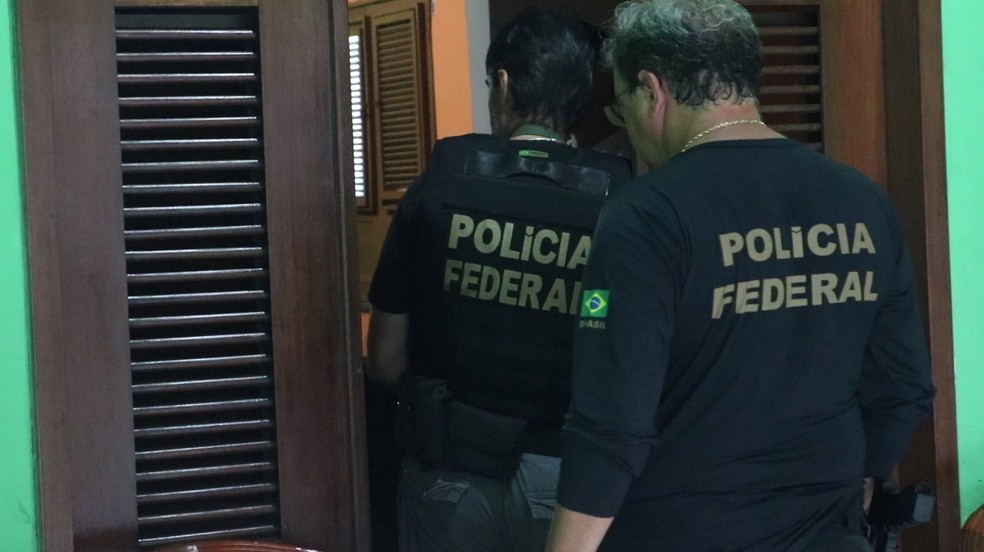 PF deflagra operação contra organização criminosa responsável pelo comércio ilegal de madeira — Foto: Reprodução/TV Clube