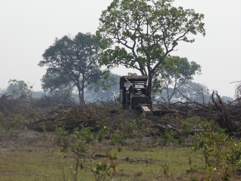 Máquinas fazendo desmatamento ilegal em Aquidauana, MS (Foto: PMA/Divulgação)