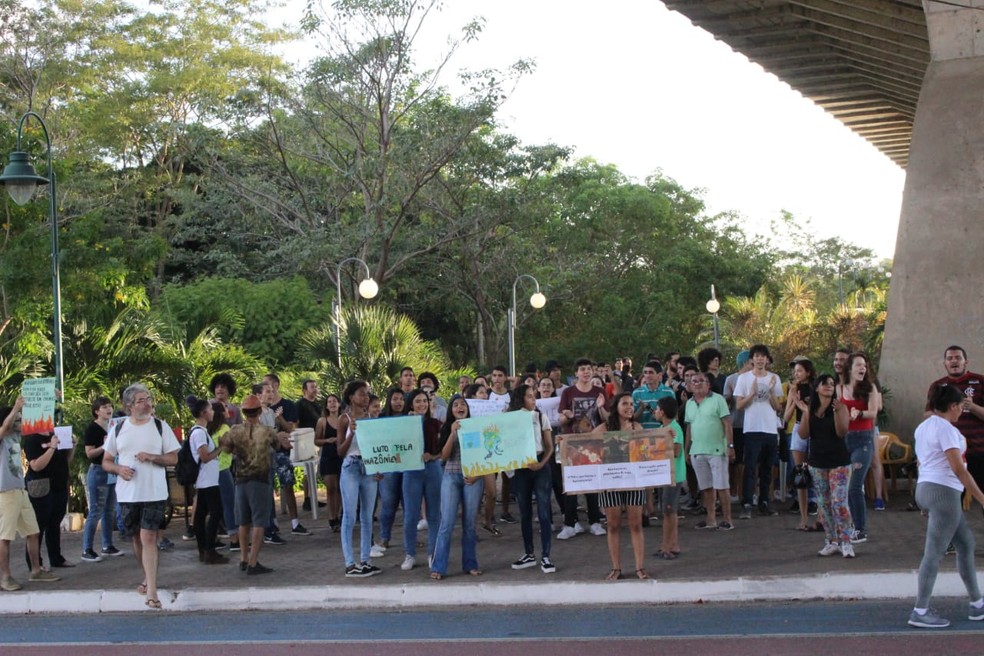 Protesto em defesa da Amazônia na cidade de Teresina (PI) — Foto: Gilcilene Araújo/G1 PI