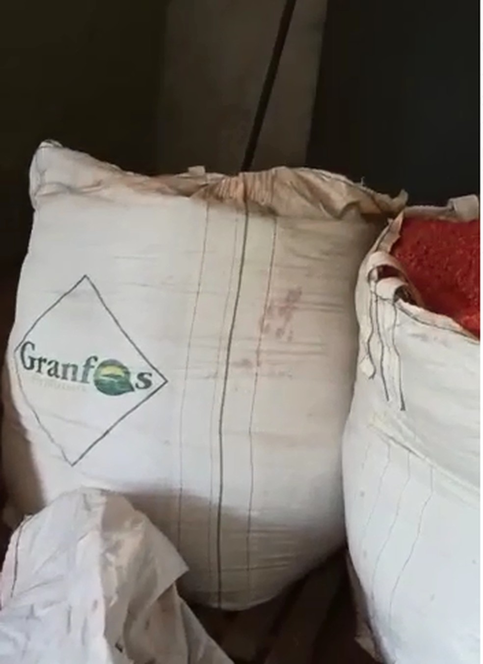 20 toneladas de sementes clandestinas foram apreendidas, segundo a polícia — Foto: Reprodução 