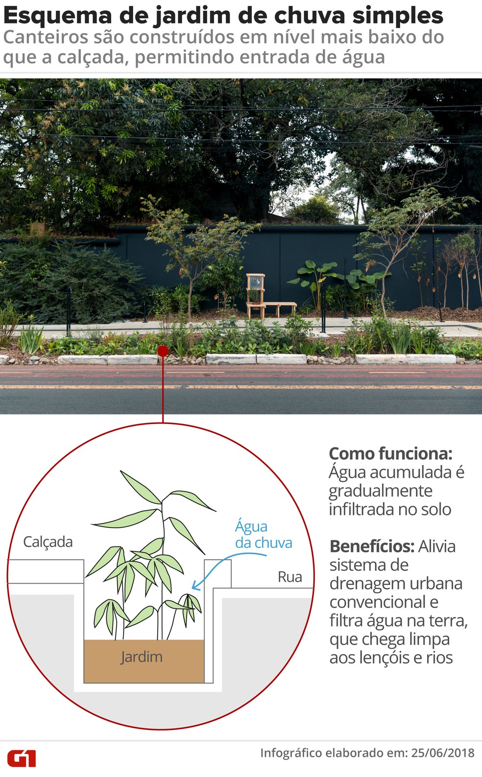 Esquema simples de jardim de chuva (Foto: Arte/G1)