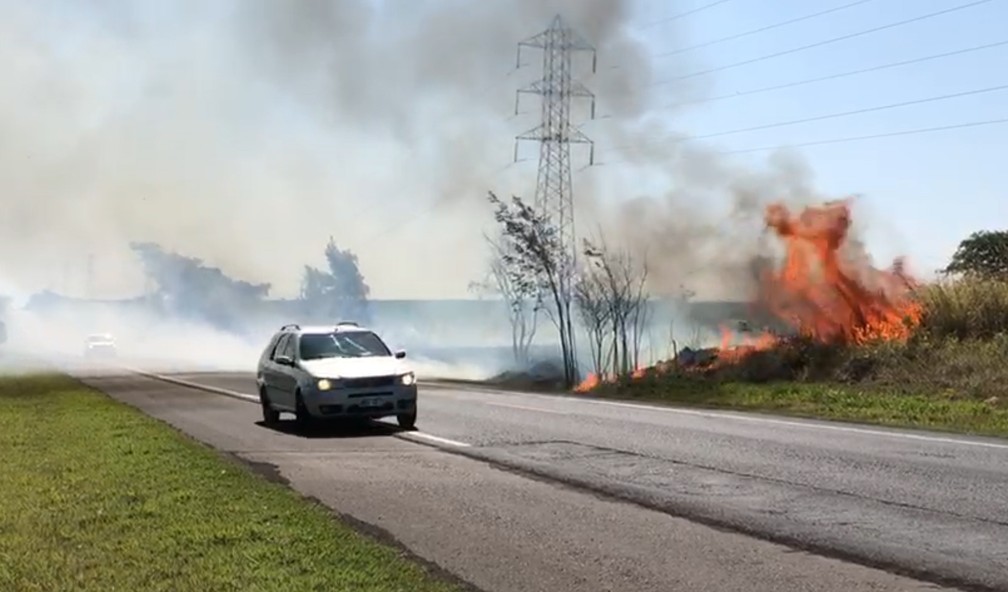 Fogo atingiu vegetação às margens da SP-284, entre Martinópolis e Rancharia, nesta terça-feira (1º) — Foto: Marcelo Pereira/TV Fronteira