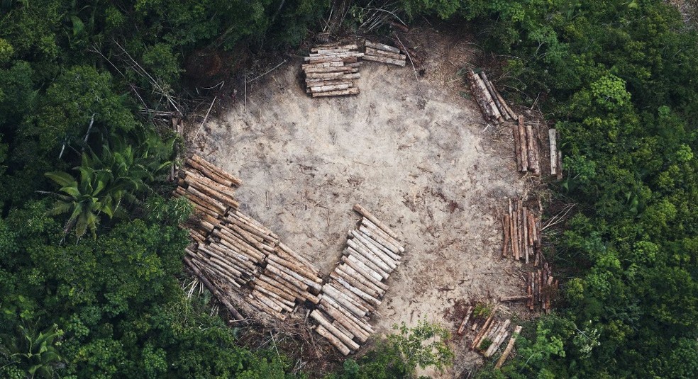 O ndice de desmatamento em 2018  o maior registrado nos ltimos 10 anos, segundo o levantamento — Foto: Daniel Beltr/ Greenpeace