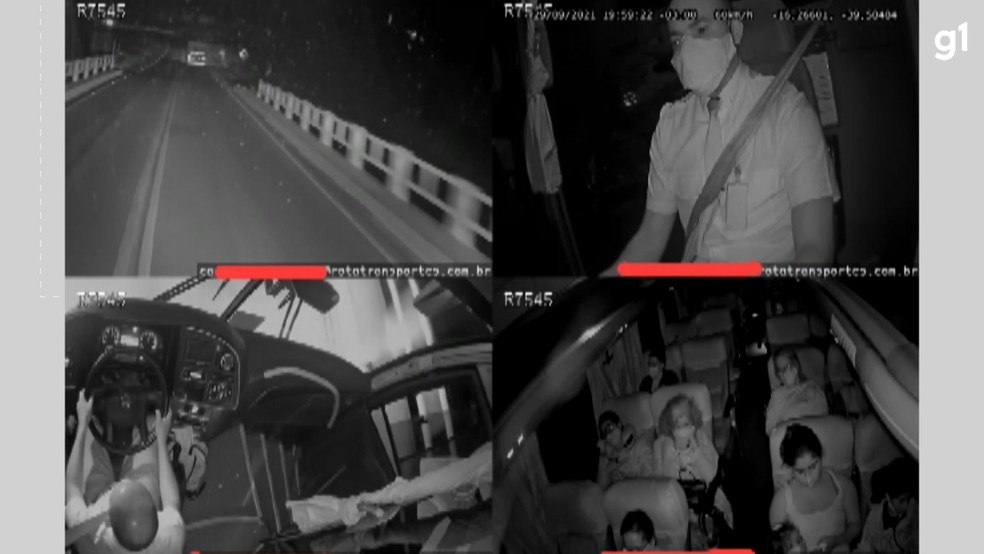 Vídeo mostra momento da batida entre ônibus e caminhão que transportava eucalipto na Bahia — Foto: Reprodução / Redes Sociais
