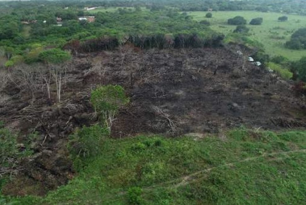 Desmatamento foi feito com a queimada de grande área da unidade de preservação da Mata Atlântica na Grande João Pessoa — Foto: Divulgação/MPPB