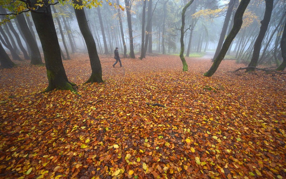 Um homem caminha em uma floresta debaixo de névoa na montanha Feldberg, na região de Taunus, Alemanha. — Foto: Arne Dedert/AFP/Arquivo
