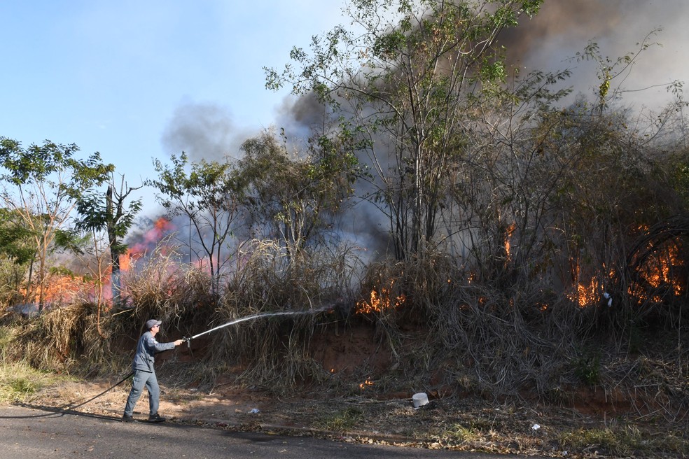 Incêndio atinge 30 mil m² de reserva florestal, no Parque Alexandrina, em Presidente Prudente — Foto: Marcos Sanches/Secom