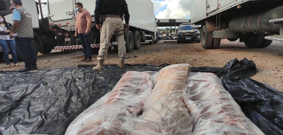 Carne suína furtada encontrada na BR 101, em Cariacica  — Foto: Divulgação/PRF