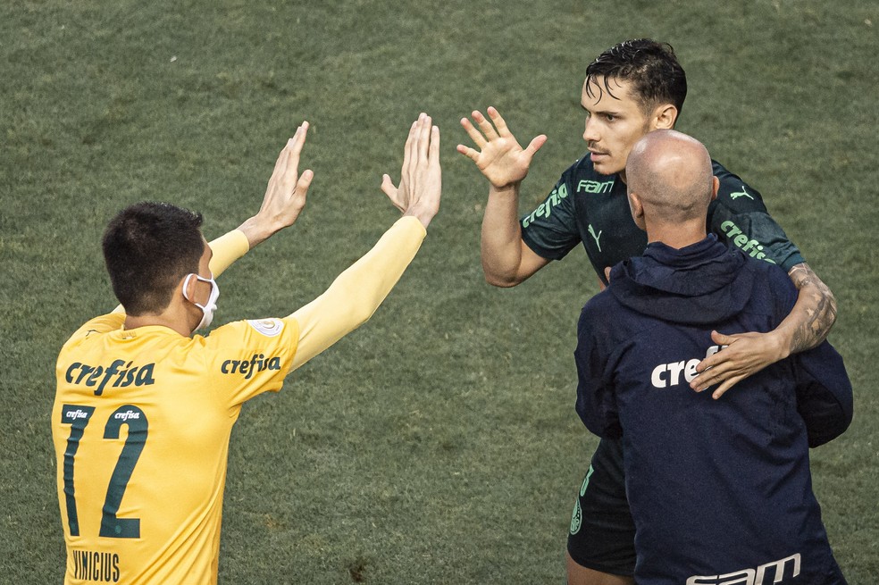 Notas da partida: confira as avaliações para os jogadores do Verdão em Santos 2x2 Palmeiras na Vila Belmiro