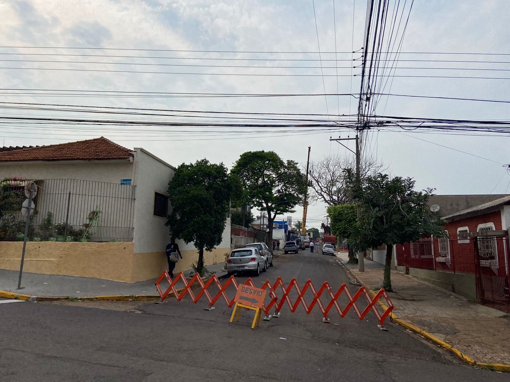 Erradicação da figueira ao lado do PUM tem início na Vila Ocidental, em Presidente Prudente (SP) — Foto: Aline Costa/TV Fronteira