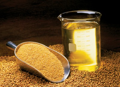 derivados-soja-graos-farelo-oleo (Foto: United Soybean Board/CCommons)